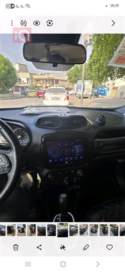 جيب رينيجيد